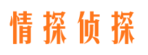 揭西市侦探公司